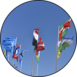 Mednarodno Sodelovanje